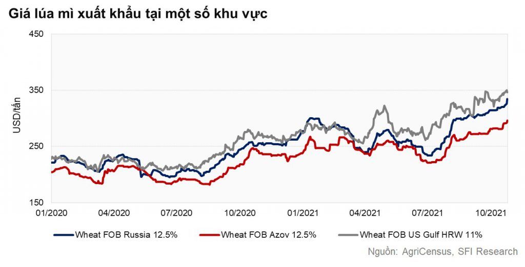 Giá lúa mì thế giới đang trên đường hướng tới mức đỉnh của tháng 7 năm 2012?