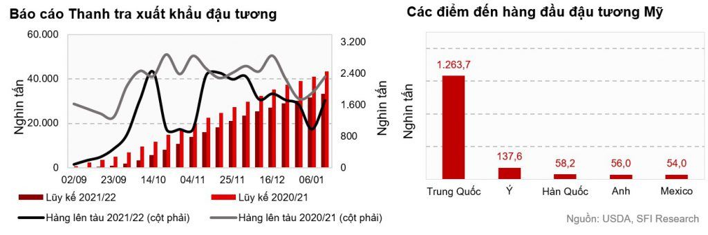 Giao hàng cả ba nông sản Mỹ tăng đột biến - Saigon Futures